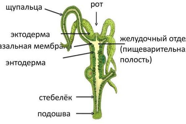 Кракен актуальная ссылка на сегодня