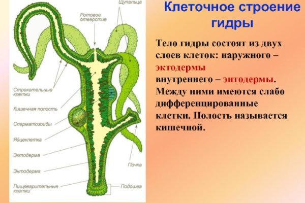 Через какой браузер можно зайти на кракен